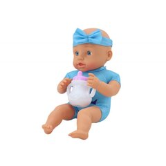 Nukk siniste aksessuaaridega Lean Toys Love Baby hind ja info | Tüdrukute mänguasjad | kaup24.ee