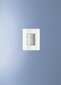 Grohe Skate Cosmopolitan WC loputusnupp - koos klaasist Alpine White värvi viimistlusega цена и информация | WC-poti tarvikud | kaup24.ee