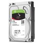 HDD SeaGate Ironwolf 3TB 64MB 5900RPM 3.5 ST3000VN007 hind ja info | Sisemised kõvakettad (HDD, SSD, Hybrid) | kaup24.ee