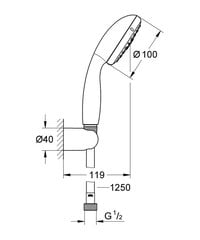 Grohe Tempesta 100 ручной душ 26161001 цена и информация | Душевые комплекты и панели | kaup24.ee