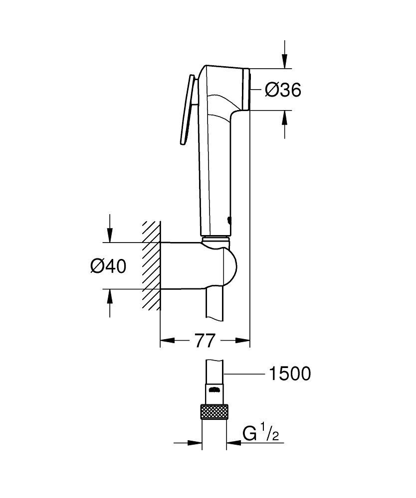 Grohe Tempeste-F Trigger Spray 30 bidee hind ja info | Komplektid ja dušipaneelid | kaup24.ee