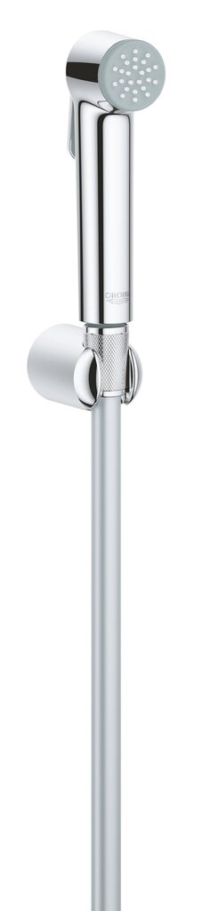 Grohe Tempeste-F Trigger Spray 30 bidee hind ja info | Komplektid ja dušipaneelid | kaup24.ee