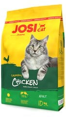 JosiCat maitsva linnulihaga Crunchy Poultry, 10 kg цена и информация | Сухой корм для кошек | kaup24.ee