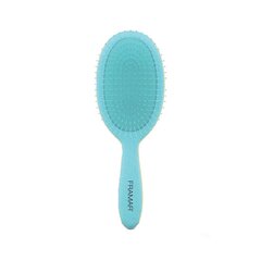 Juuksehari Framar Baecation Aqua Detangle Brush цена и информация | Расчески, щетки для волос, ножницы | kaup24.ee