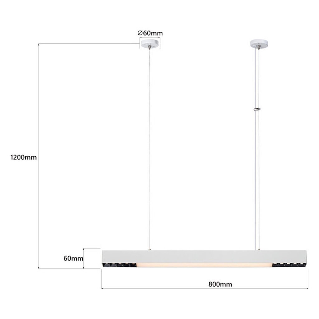 Light Prestige laelamp Cali M Smart цена и информация | Laelambid | kaup24.ee