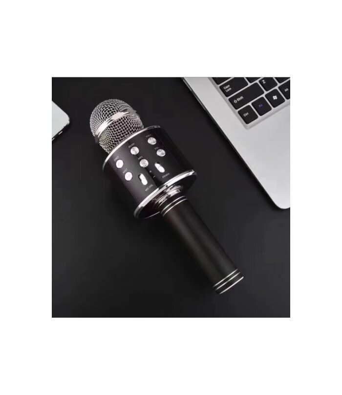 Karaokemikrofon, häält muutvate efektidega kõlar, WS-858 цена и информация | Arendavad mänguasjad | kaup24.ee
