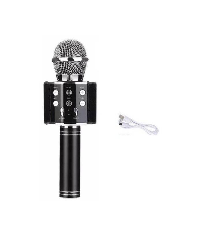 Karaokemikrofon, häält muutvate efektidega kõlar, WS-858 цена и информация | Arendavad mänguasjad | kaup24.ee
