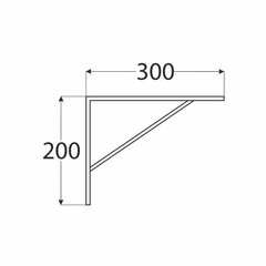 WSWP 300 C Riiulikandur tugevdatud 300×200, must hind ja info | Moodulriiulid | kaup24.ee