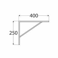 WSWP 400 C Riiulikandur tugevdatud 400×250, must hind ja info | Moodulriiulid | kaup24.ee