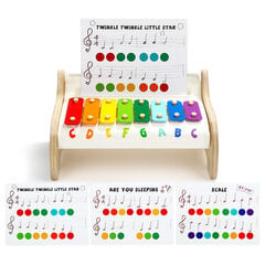 Детский ксилофон Слоник Top Bright цена и информация | Развивающие игрушки | kaup24.ee