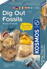 Игровой набор Dig out fossils цена и информация | Развивающие игрушки | kaup24.ee