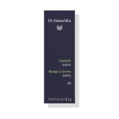 Huulepulk Dr. Haushka Rouge a Levres 4,1 g, 10 Dahlia цена и информация | Помады, бальзамы, блеск для губ | kaup24.ee