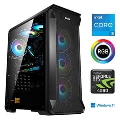 MULTI GAMING Core i5-12400F 16GB 1TB SSD RTX 4060 Windows 11 hind ja info | Lauaarvutid | kaup24.ee