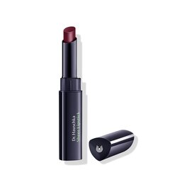 Huulepulk Dr. Hauschka Sheer Lipstick 2 g, 03 Muskrose цена и информация | Помады, бальзамы, блеск для губ | kaup24.ee