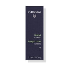 Huulepulk Dr. Haushka Rouge a Levres 4,1 g, 03 Camellia цена и информация | Помады, бальзамы, блеск для губ | kaup24.ee