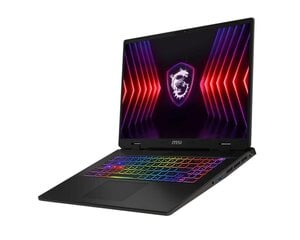 MSI Sword 17 HX B14VFKG (SWORD17HXB14VFKG-010NL) цена и информация | Ноутбуки | kaup24.ee