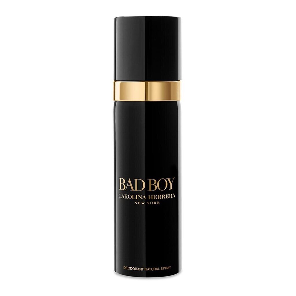 Pihustatav deodorant Carolina Herrera Bad Boy meestele 100 ml цена и информация | Lõhnastatud kosmeetika meestele | kaup24.ee