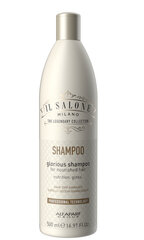 Питательный шампунь для сухих и поврежденных волос Alfaparf Il Salone Milano Glorious 500 мл цена и информация | Шампуни | kaup24.ee