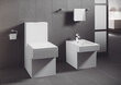 Grohe Essentials Cube tualettpaberi hoidik hind ja info | Vannitoa sisustuselemendid ja aksessuaarid | kaup24.ee