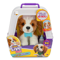 LITTLE LIVE PETS интерактивная мягкая игрушка Really Real Puppy цена и информация | Игрушки для девочек | kaup24.ee