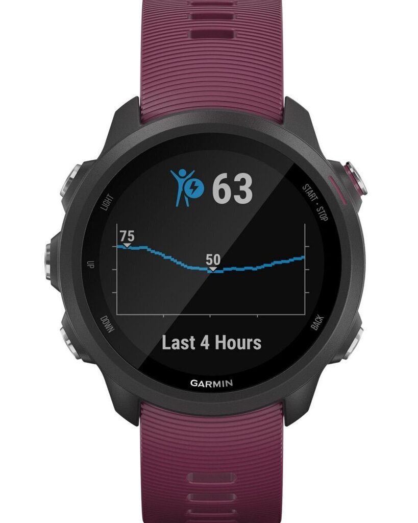 GPS-jooksukell Garmin Forerunner® 245,Black/Merlot : 010-02120-11 hind ja info | Nutikellad (smartwatch) | kaup24.ee