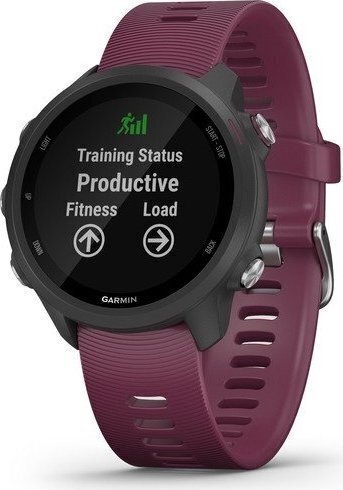 Garmin Forerunner 245 Merlot hind ja info | Nutikellad (smartwatch) | kaup24.ee