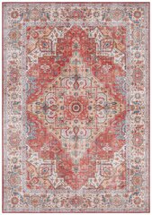 Vaip Nouristan Asmar Sylla, 80x150 cm hind ja info | Vaibad | kaup24.ee