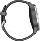 Garmin Vivoactive 4 010-02174-04 hind ja info | Nutikellad (smartwatch) | kaup24.ee