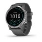 Garmin Vivoactive 4 010-02174-04 hind ja info | Nutikellad (smartwatch) | kaup24.ee