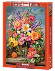 Pusle Puzzle Castorland June Flowers in Radiance, 1000 tk цена и информация | Пазлы | kaup24.ee