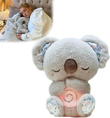 Evoraco Soothing Koala Bear, Arrily Calming Otter, Arrily Sleep Otter, Arrily Anxiety Relief Koala, Breathing Otter, партатыўная плюшавая цацка з музыкай Lig цена и информация | Мягкие игрушки | kaup24.ee