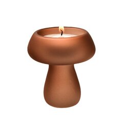 Hot Sells-Seeneküünla klaas 6,5*7cm Vaha õhtusöök Creative Candle Dripless for Holiday hind ja info | Küünlad, küünlajalad | kaup24.ee