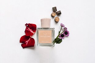 Kodulõhnastaja Carbaline "Lotus" , 50 ml цена и информация | Ароматы для дома | kaup24.ee