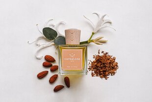 Kodulõhnastaja Carbaline "Vervain - Vanilla", 100 ml цена и информация | Ароматы для дома | kaup24.ee