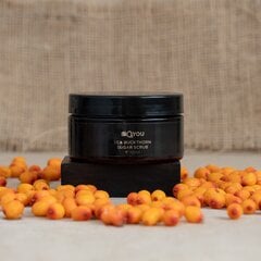 Sea buckthorn sugar scrub Bio2You цена и информация | Скрабы для тела | kaup24.ee