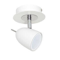 Luminex потолочный светильник Olivia цена и информация | Потолочные светильники | kaup24.ee