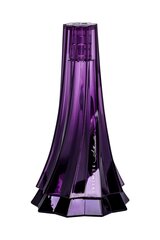 Parfüümvesi Christian Siriano Intimate Silhouette EDP naistele 100 ml hind ja info | Naiste parfüümid | kaup24.ee