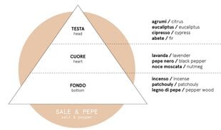 Домашний аромат Carbaline Sale & Pepe, 100мл цена и информация | Домашние ароматы с палочками | kaup24.ee