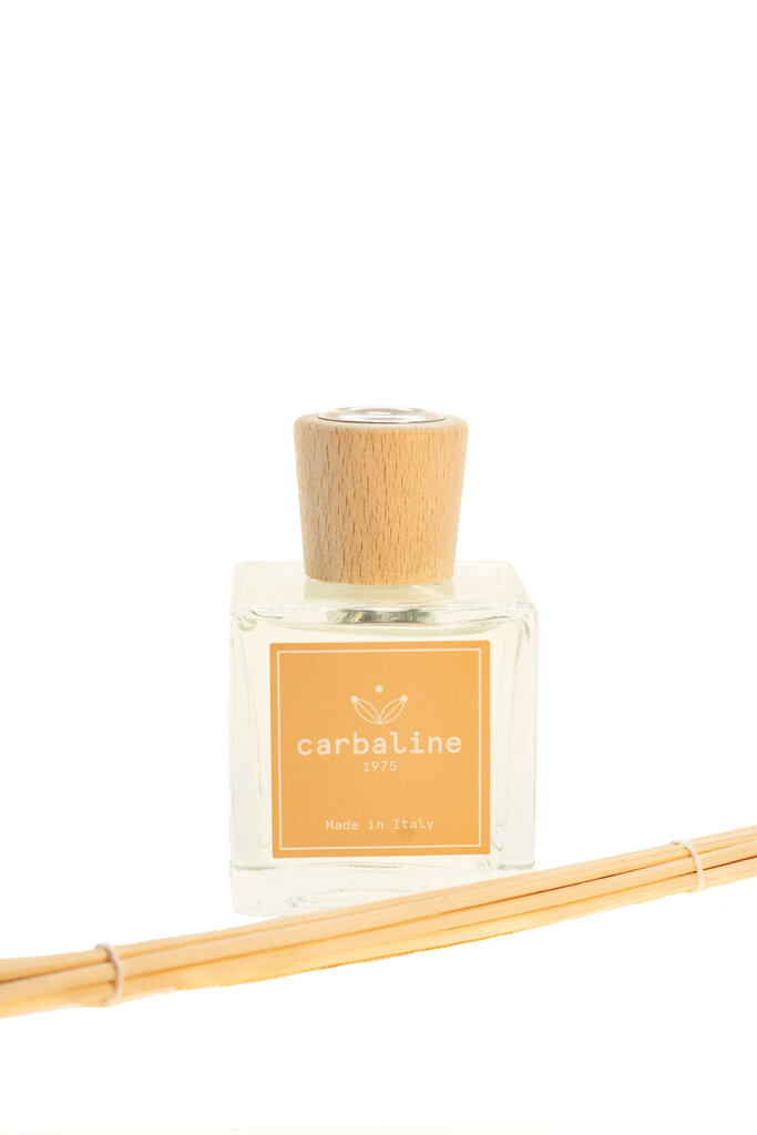 Kodulõhnastaja Carbaline "Sandalwood", 250 ml цена и информация | Kodulõhnastajad | kaup24.ee