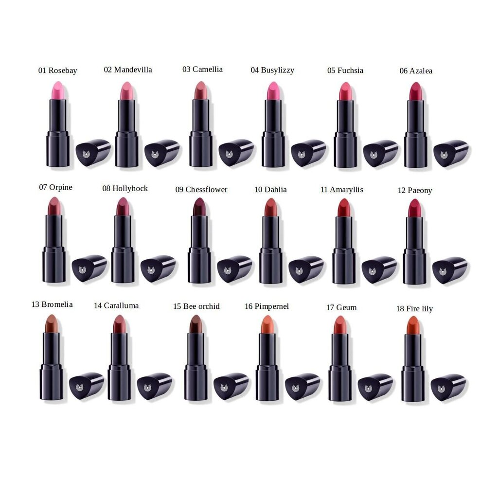 Huulepulk Dr. Hauschka Lipstick 4.1 g, 02 Mandevilla hind ja info | Huulepulgad, -läiked, -palsamid, vaseliin | kaup24.ee