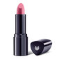 Huulepulk Dr. Hauschka Lipstick 4.1 g, 02 Mandevilla цена и информация | Huulepulgad, -läiked, -palsamid, vaseliin | kaup24.ee