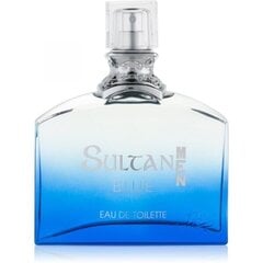 Туалетная вода для мужчин Jeanne Arthes Sultan Blue Men EDT 100 мл цена и информация | Мужские духи | kaup24.ee