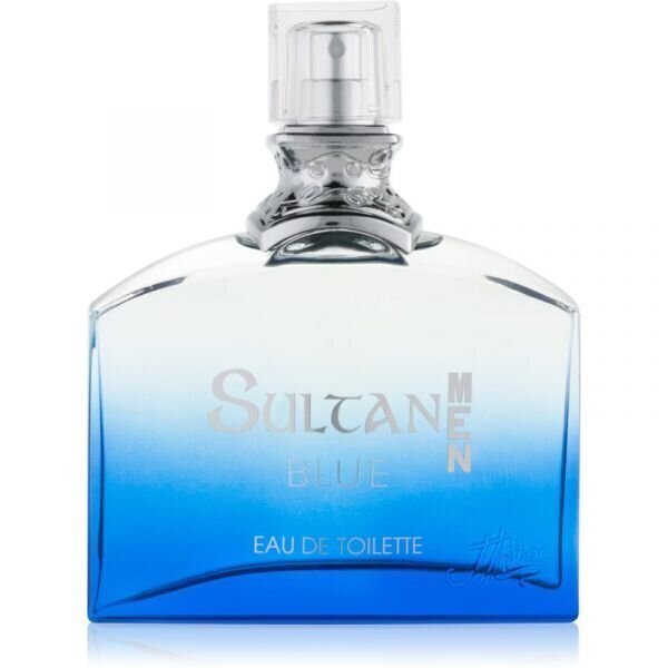 Tualettvesi Jeanne Arthes Sultan Blue Men EDT meestele 100 ml hind ja info | Meeste parfüümid | kaup24.ee