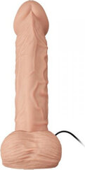 Dildo Lybaile Ultra Female Strap-On Realistic Dildo, 26cm hind ja info | Naiste sekspesu | kaup24.ee