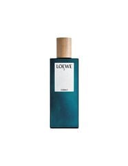 Parfüümvesi Loewe 7 cobalt EDP naistele, 100 ml hind ja info | Naiste parfüümid | kaup24.ee