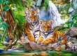 Pusle Castorland Tiger Falls, 300-osaline hind ja info | Pusled | kaup24.ee