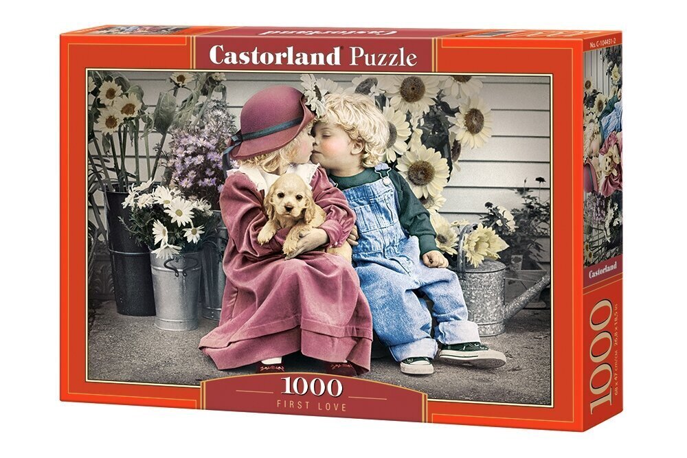 Pusle Castorland First Love, 1000-osaline цена и информация | Pusled | kaup24.ee