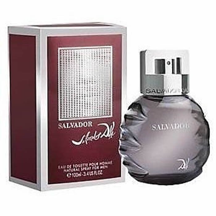 Tualettvesi Salvador Dali Salvador meestele 100 ml цена и информация | Meeste parfüümid | kaup24.ee