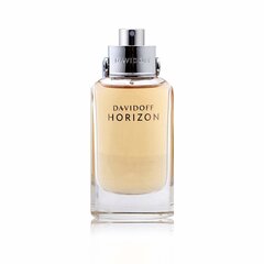 Мужская парфюмерия Horizon Davidoff EDT: Емкость - 40 ml цена и информация | Мужские духи | kaup24.ee