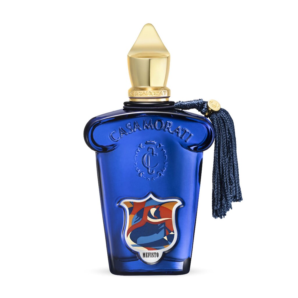 Parfüümvesi Xerjoff Casamorati 1888 Mefisto EDP meestele 100 ml hind ja info | Naiste parfüümid | kaup24.ee